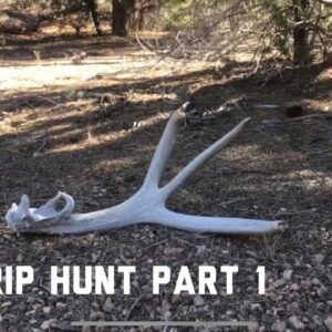 2019 Arizona Strip Mule Deer, Sheds & Artifacts Part 1 Antler Trader.