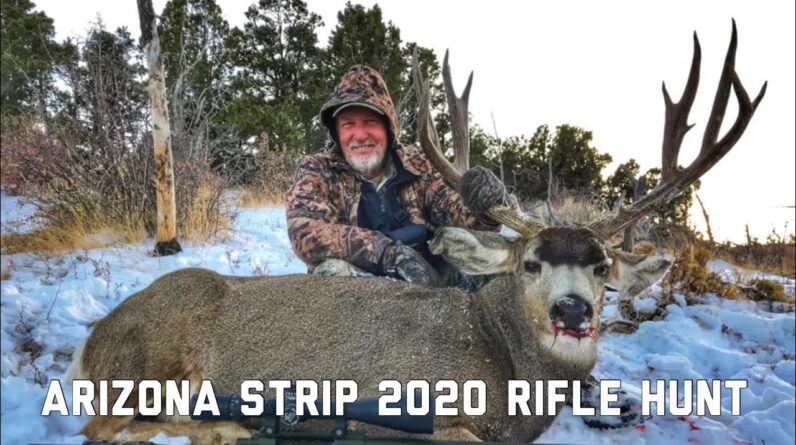 Arizona Strip 2020 Rifle 4 Big Mule Deer Down Hunting Antler Trader
