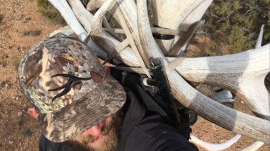 Elk Shed Hunting part 2 Pursuit of 400" Antler Trader