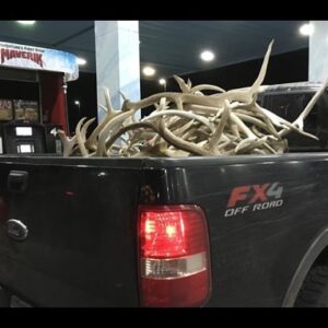 Elk Shed Trip Part 1 Antler Trader