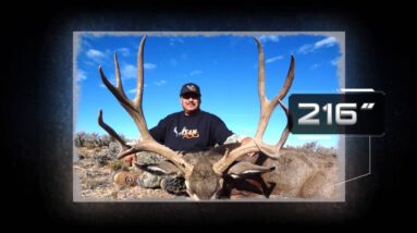 Guiding Giant Mule Deer Episode#2!!! Antler Trader