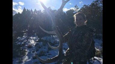 Shedcation 2015 ELK Shed Hunting- Antler Trader